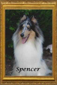 Spencer 2015